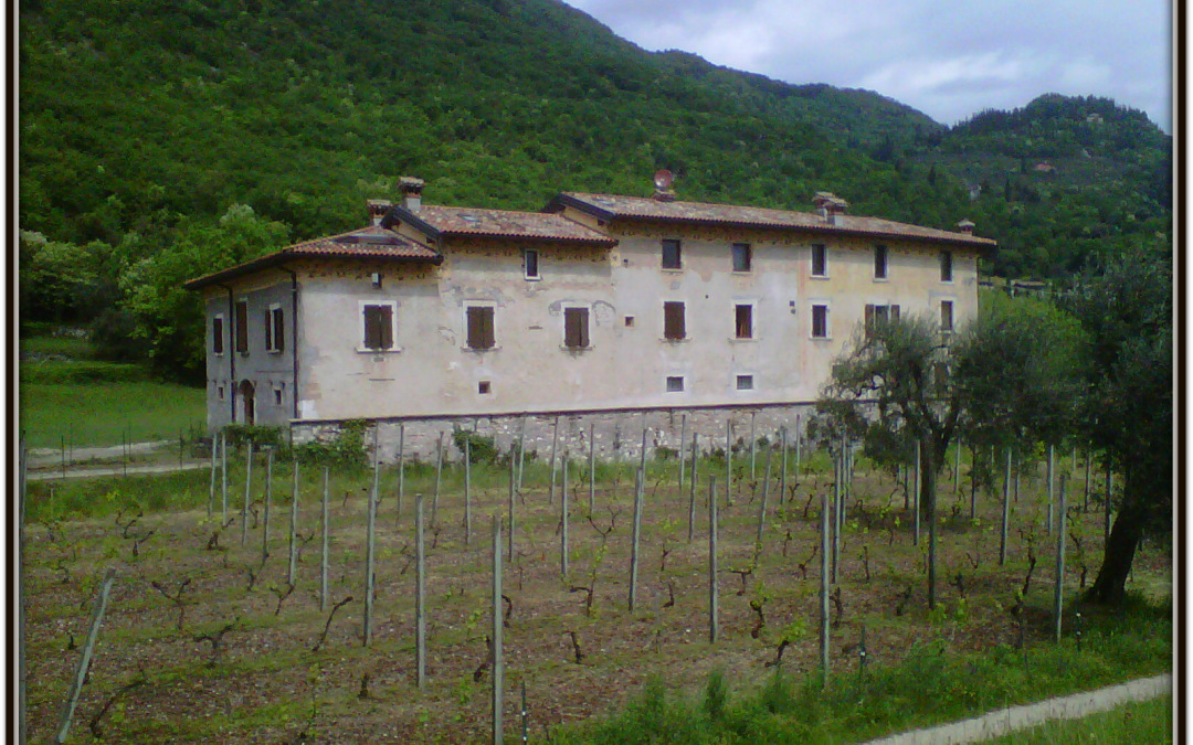 antoni noce